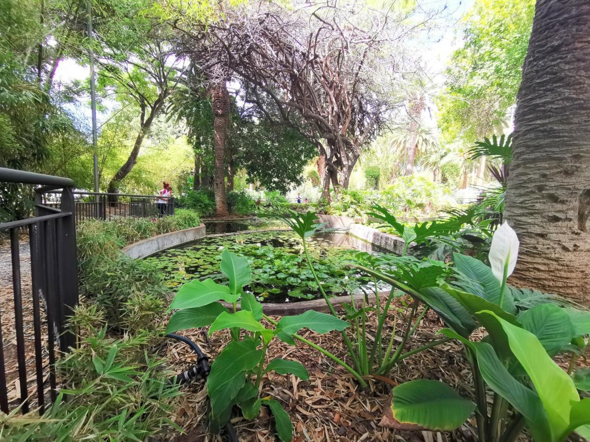 Home2Book Charming Santa Cruz Urban Center, Terrace מראה חיצוני תמונה